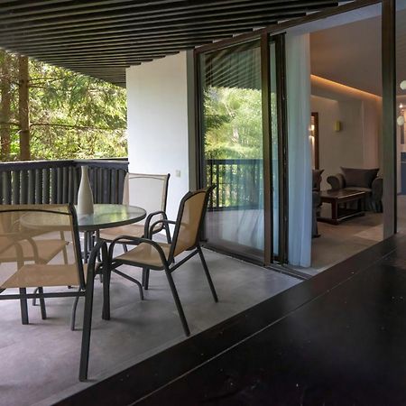 Poiana Brasov Alpin Executive Apartment المظهر الخارجي الصورة